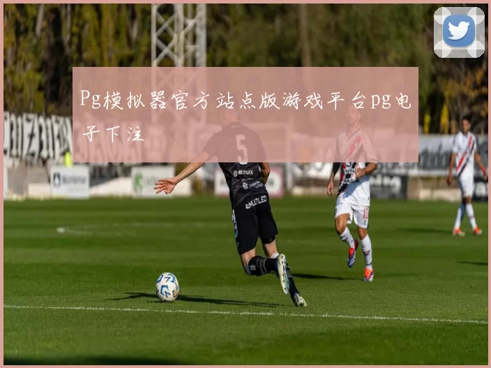 Pg模拟器官方站点版游戏平台pg电子下注