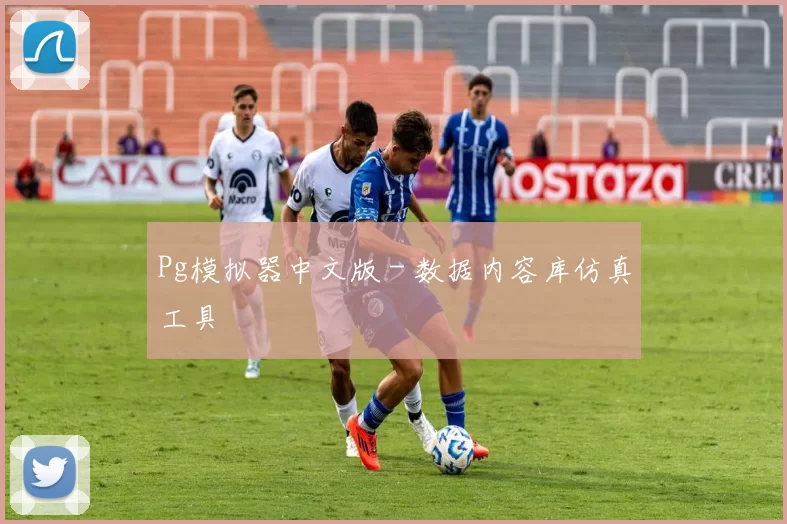 Pg模拟器中文版 - 数据内容库仿真工具