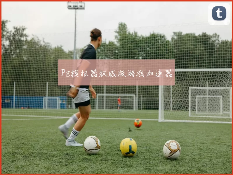 Pg模拟器权威版游戏加速器