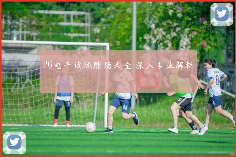 PG电子试玩赌场大全 深入专业解析