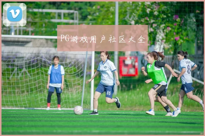 PG游戏用户社区大全
