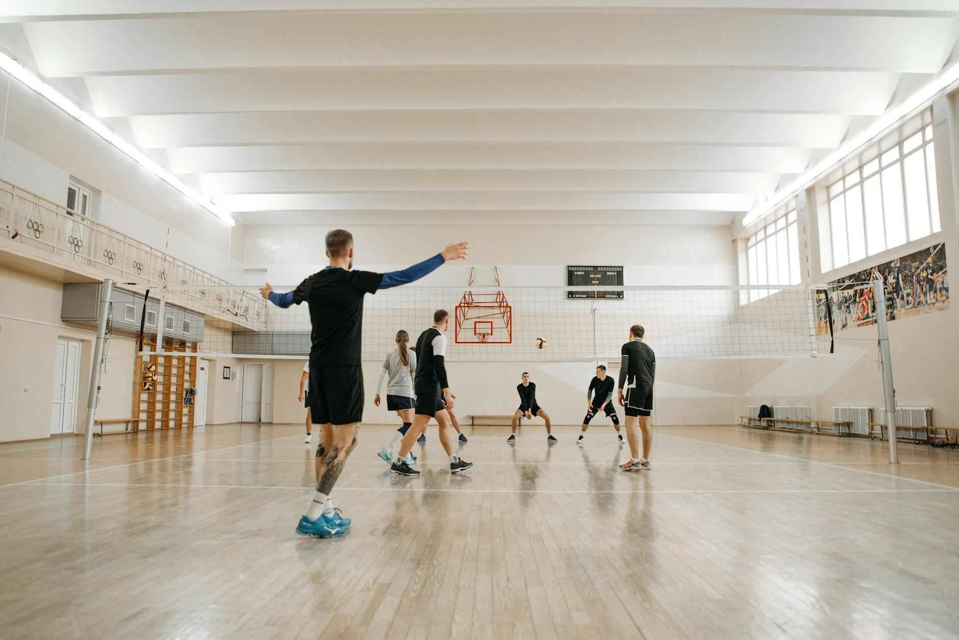 Pg模拟器专业版中文免费下载