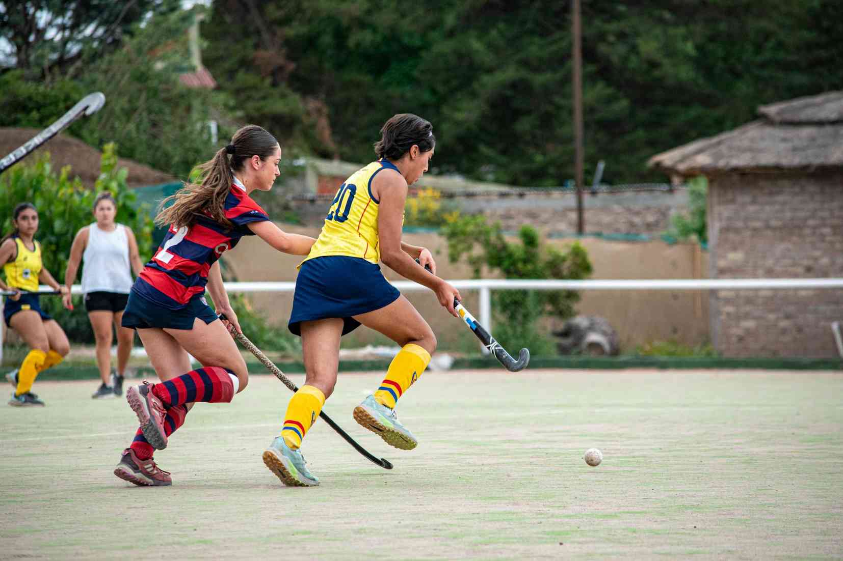 Pg模拟器中文版 - 数据内容库仿真工具