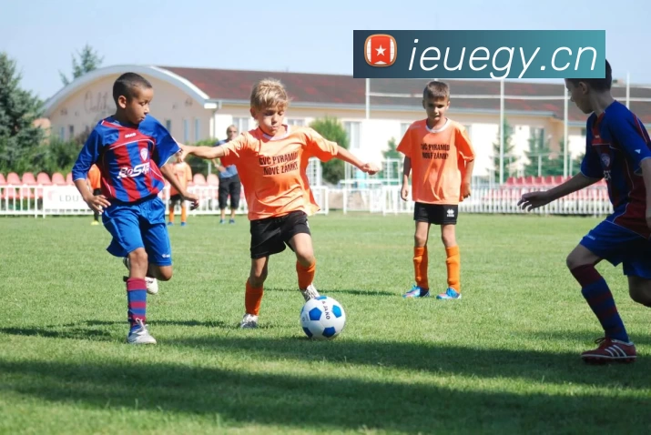 pg电子平台APP 封面图